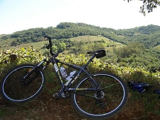 Pacifica Vendégház Quarteira