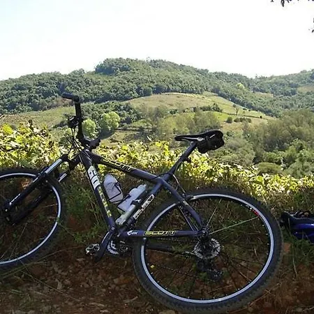 Pacifica Casa de hóspedes Quarteira