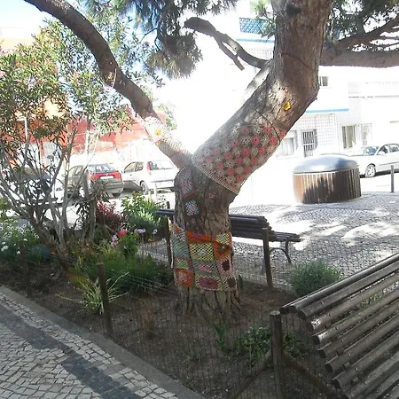 Guest house Pacifica 2*